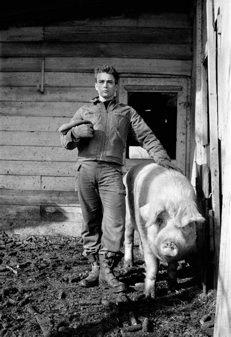 James Dean: Photos of an American Original by Dennis Stock | Time.com