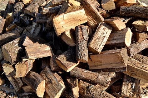Free Images : tree, trunk, soil, firewood, lumber, wood pile, material ...