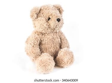 Light Brown Teddy Bear Isolated On Stock Photo 552157891 | Shutterstock
