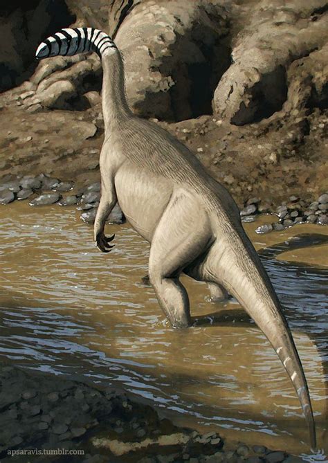 Plateosaurus engehardti | Prehistoric animals, Prehistoric dinosaurs ...