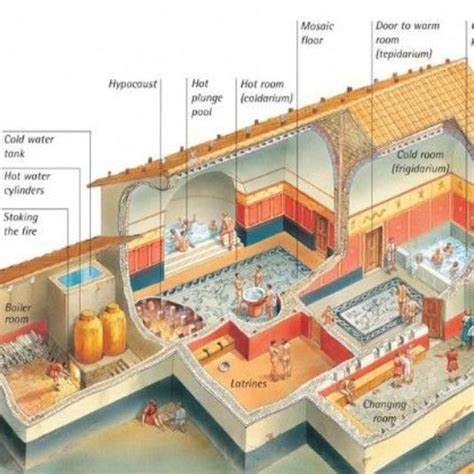 The curious life in the ancient Roman baths | Roman baths, Ancient ...