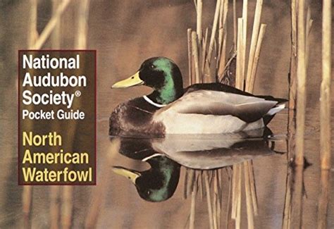 Librarika: National Audubon Society Field Guide to North American Birds ...