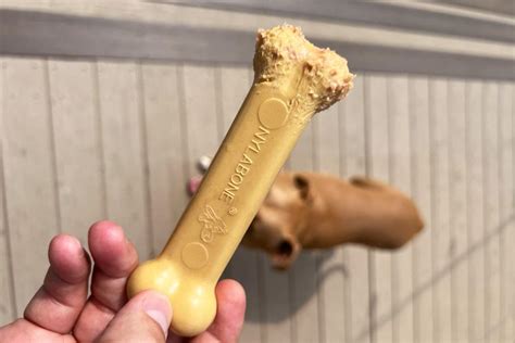 Comparison of Nylabone and Benebone: Which Is the Better Dog Chew?