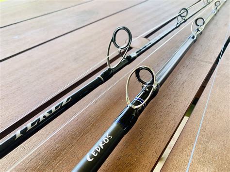 Best Bottom Rods: I Bought These TWO – Tight Lines and High Tides