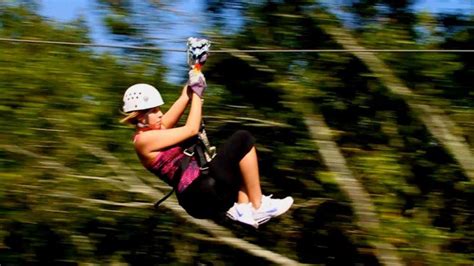 Screaming Eagle Zipline | Alapark