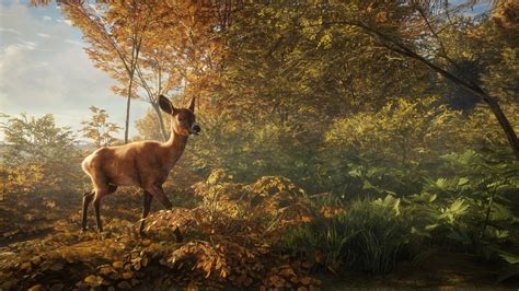 Virtuelle Pirsch im Videospiel mit theHunter - Call of the Wild - PC Game