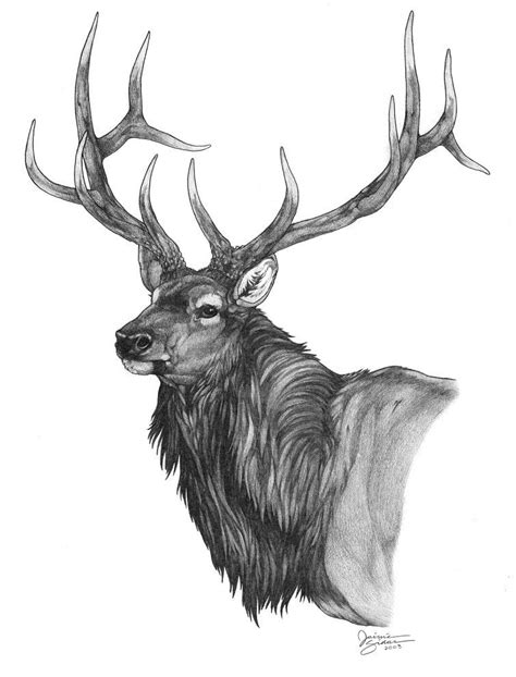 De 25+ bedste idéer inden for Elk drawing på Pinterest