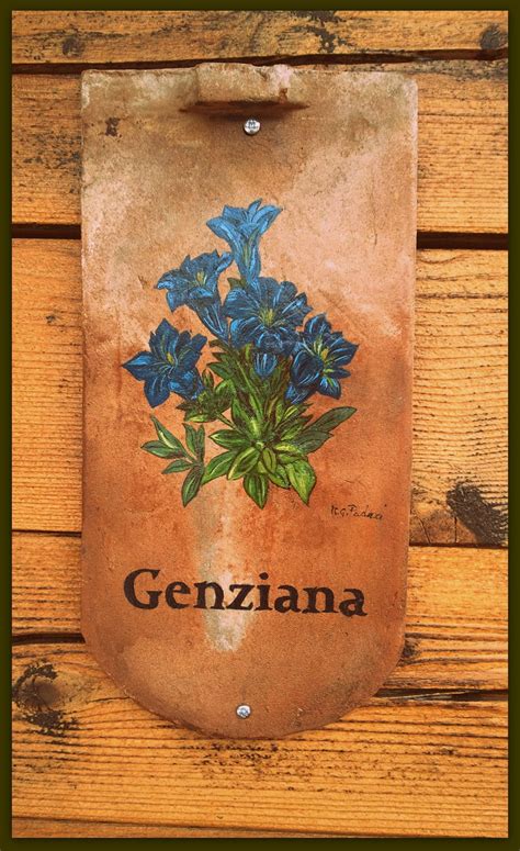 Genziana - Gentian Bamboo Cutting Board, Bottle Opener Wall, Stencils, Homes, Artwork, Houses ...