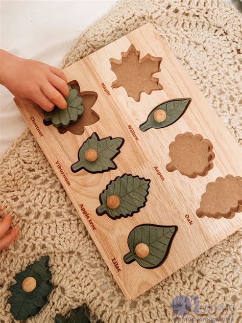 Montessori Leaf Puzzle – Qtoys