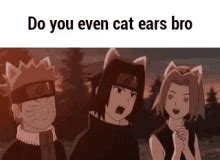 Nekomimi Anime Cat GIF - Nekomimi Anime Cat Meow - Discover & Share GIFs