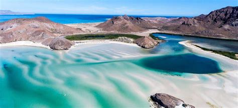 Espiritu Santo Tour - Sea Lion Snorkel | Cabo Day Trips