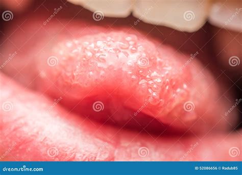 Human Tongue Texture Royalty-Free Stock Image | CartoonDealer.com #28622740