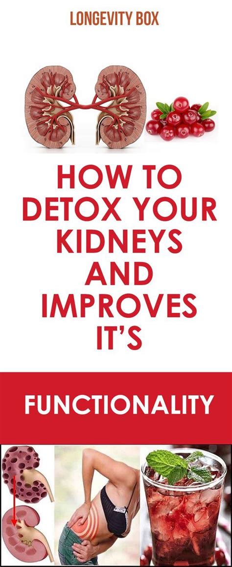 How To Detox Your Kidneys And Improves It’s Functionality | Kidney cleanse, Kidney detox cleanse ...