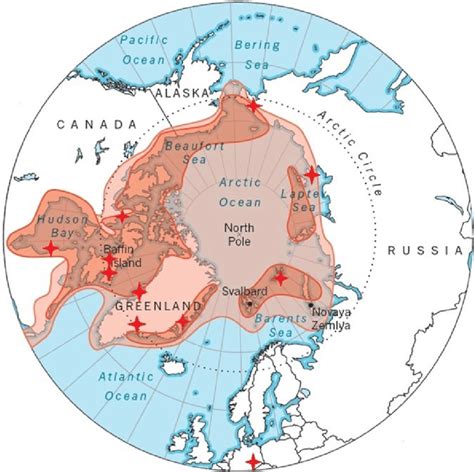 World Map Polar Projection Grid Antarctic Stock Vecto - vrogue.co