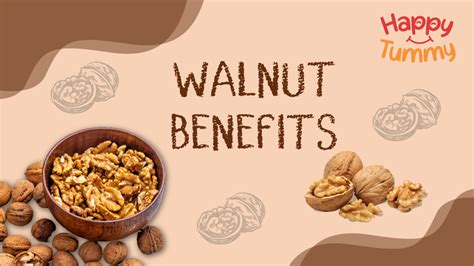 Unlocking the Hidden Treasures of Walnut Benefits for Your Body - Happytummy