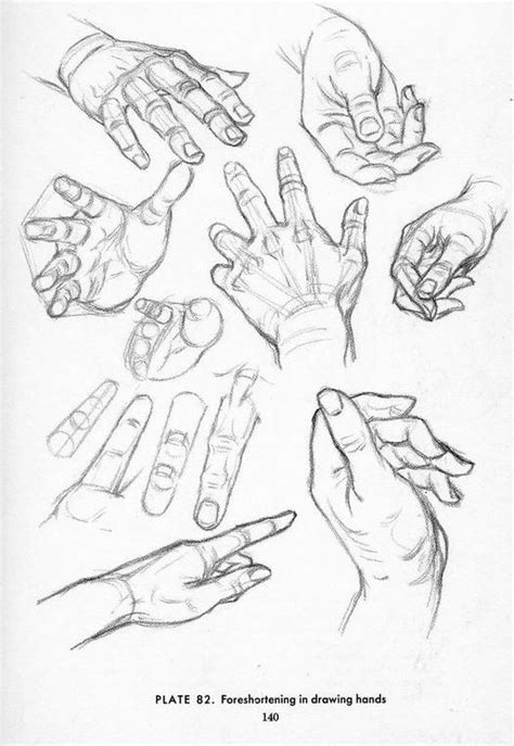 andrew loomis hands - Google Search | Hand drawing reference, How to draw hands, Drawing tutorial