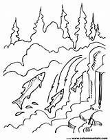 Chinook Coloring Pages At GetColoringscom  Free Printable Colorings sketch template
