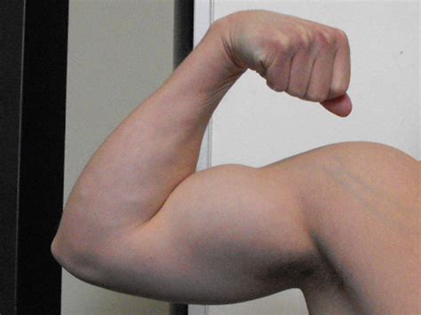 Large Biceps: Exercises To Build Bigger Biceps Without Using Weights | HubPages