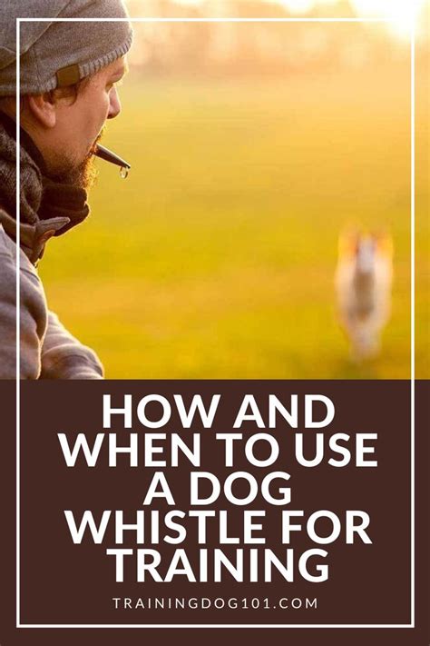 HOW AND WHEN TO USE A DOG WHISTLE FOR TRAINING | Dog whistle, Training your dog, Dogs