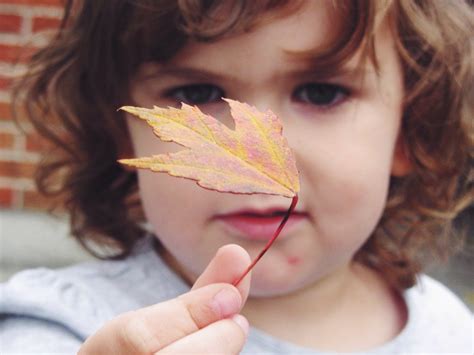 Fall Leaves | My little sister, Julia | Emily Elaine Klein | Flickr