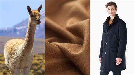 What Makes a Vicuña Coat Worth $20,000? The Ultimate Menswear Fabric, Explained.