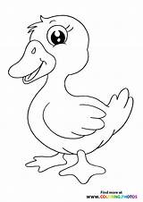 Little cute duck  Coloring Pages For Kids sketch template