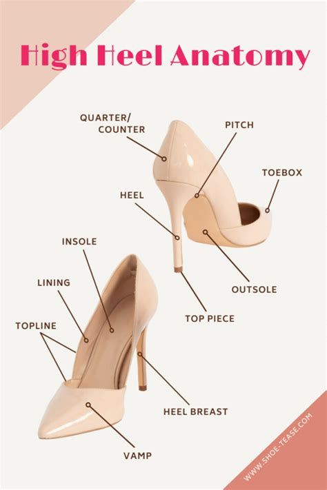 Ultimate High Heel Anatomy Guide - 19 Main Parts of a High Heel