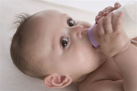 7 Best Baby Bottle Warmers