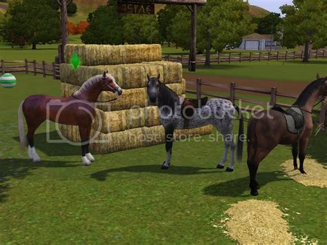 Vitual Horse Breeding Games: full version free software download ...