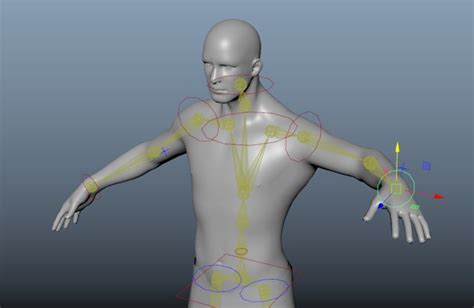 Rigging in Maya | Introduction to Character Rigging in Maya