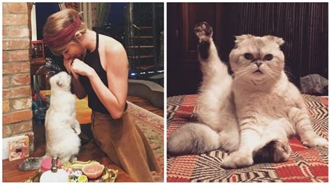 Taylor Swift's cat Olivia Benson is 3rd richest pet in world, worth ₹800 cr - Hindustan Times