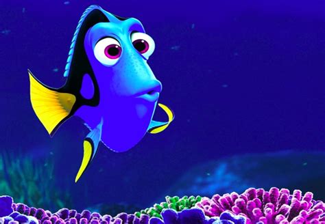 finding-dory-fish-forgetful ~ The Midult