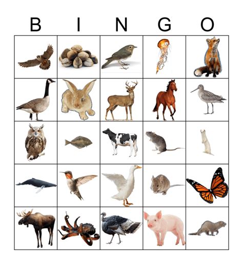 Animals Bingo Card