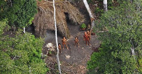 Rare Footage Captures Uncontacted Amazon Tribe For The First Time | Amazon tribe, Aerial footage ...