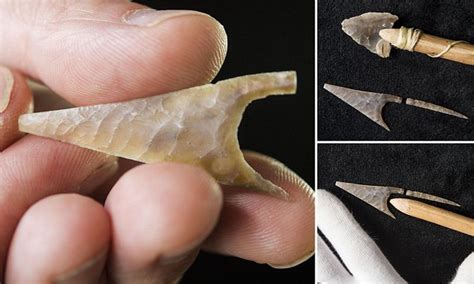 5,000-year-old flint arrowhead could be the work of a Stone Age craftsman | Daily Mail Online