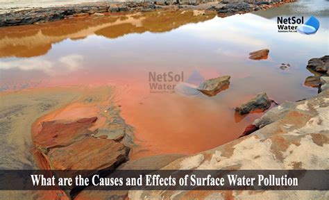 What are the Causes and Effects of Surface Water Pollution