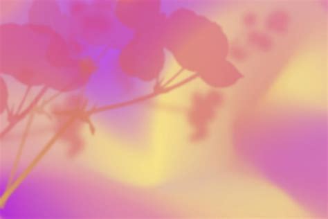 Pink gradient background, floral border | Premium Vector - rawpixel