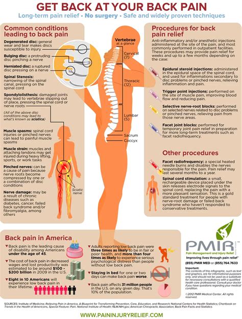 Lower Back Pain In Women | seputarpengetahuan.co.id
