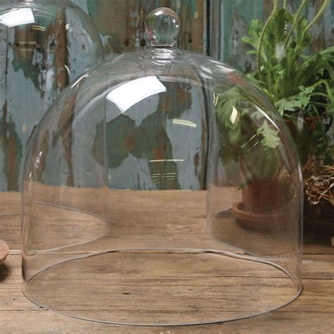 Clear Glass Cloche Dome | Glass dome cloche, Glass cloche, Large glass dome