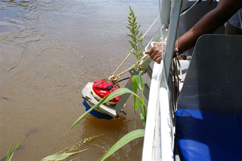 The Amazon River: water flow dynamics and its ecosystem interactions - The UC Science Blog