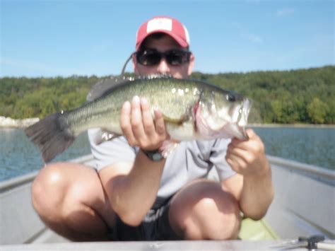 Reservoir Fishing: Reservoir Catches