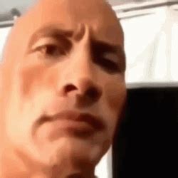 Dwayne Johnson The Rock Eyebrow Raise GIF | GIFDB.com