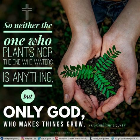 Makes Things Grow - I Live For JESUS