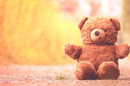 Royalty-Free photo: Brown bear plush toy | PickPik
