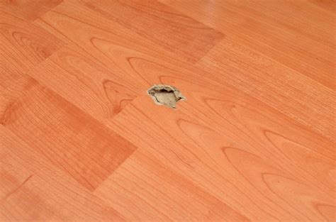 How to Repair Laminate Flooring Water Damage [6 Methods]