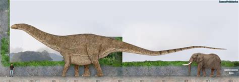 Apatosaurus Size by SameerPrehistorica on DeviantArt