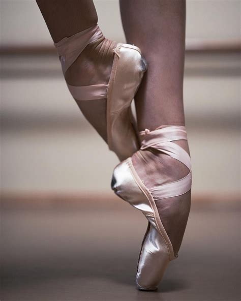 ~ Spring Pirouettes ~ | Ballet shoes, Ballet inspiration, Ballerina shoes