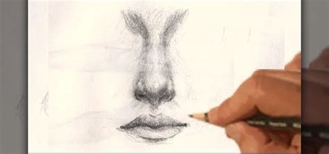 Realistic Nose Drawings