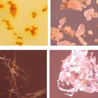 -Examples of samples of solid particles which can be identified at a ...