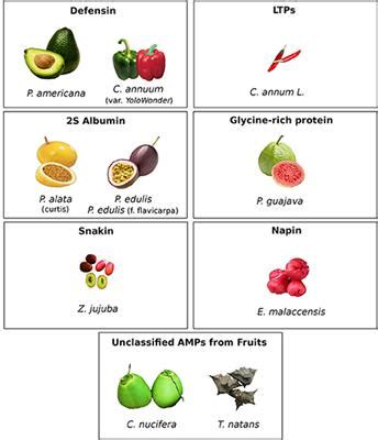 Frontiers | Antimicrobial Peptides from Fruits and Their Potential Use as Biotechnological Tools ...